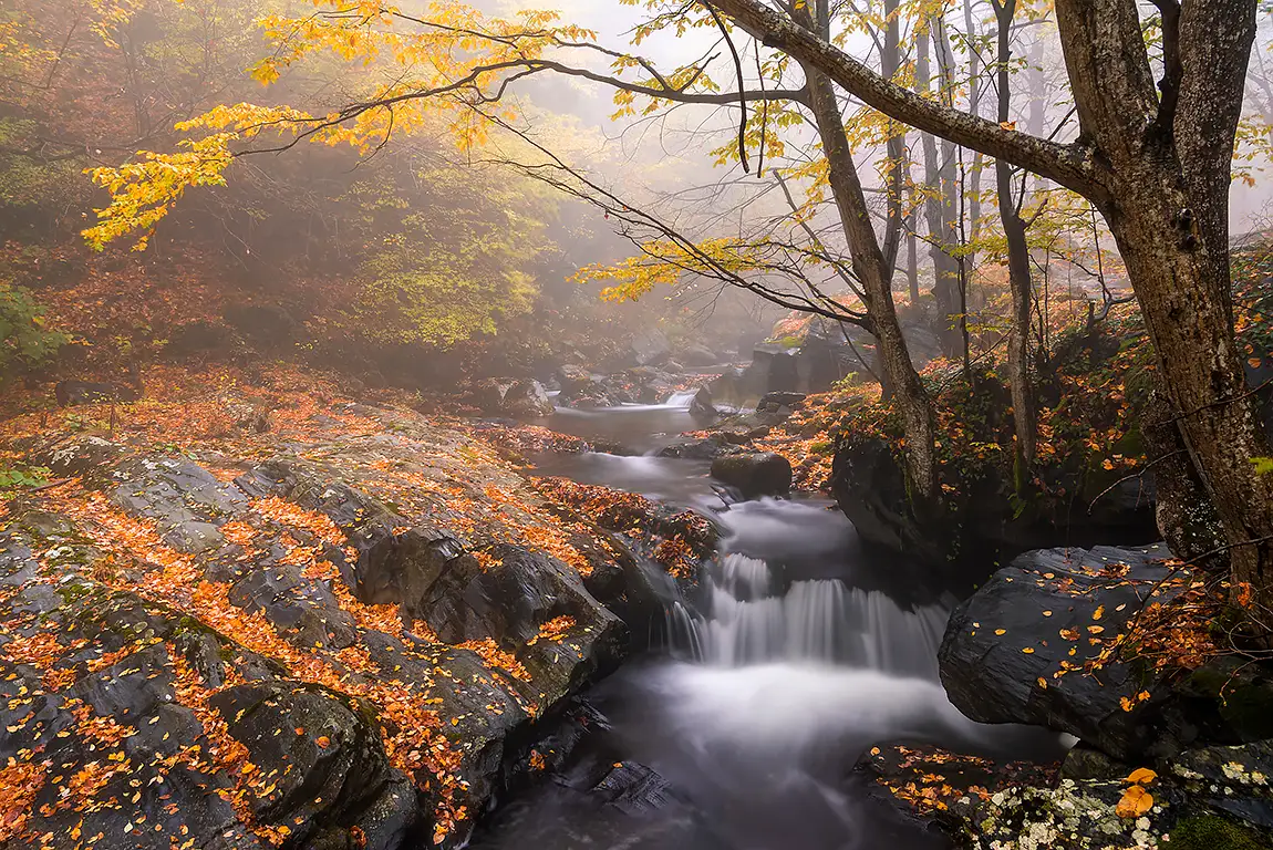 The old river reservation, balkan mountain range, bulgaria