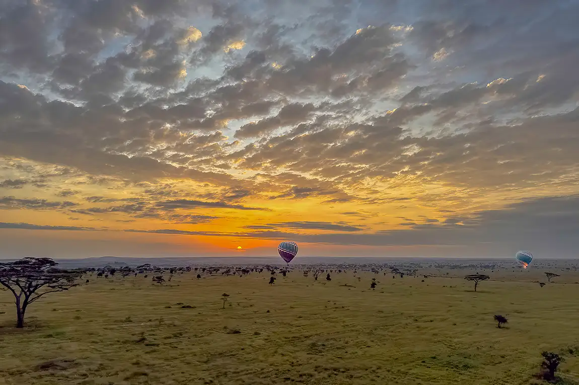Early morning sunrise, serengeti national park, tanzania