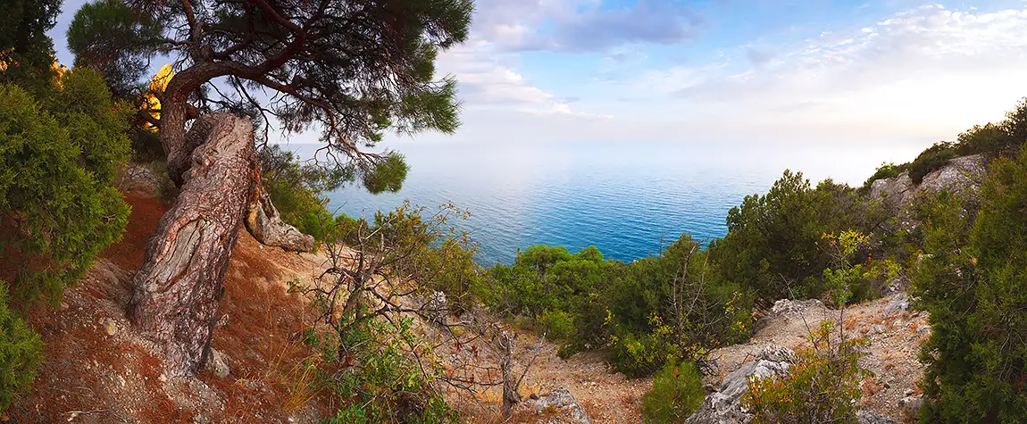 Evening Landscape With The Sea In Crimea