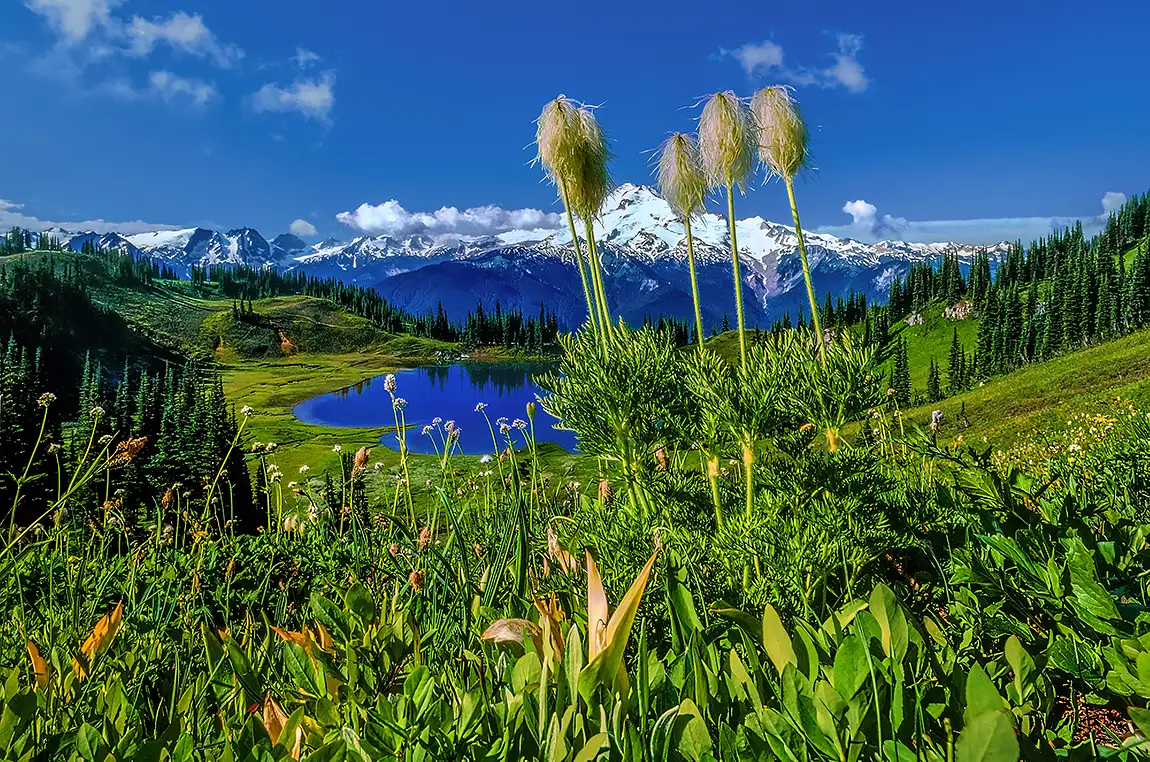Image Lake Basin, Glacier Peak Wilderness, Washington, USA