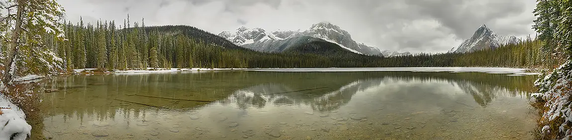 Majestic silence, watridge lake, alberta, canada