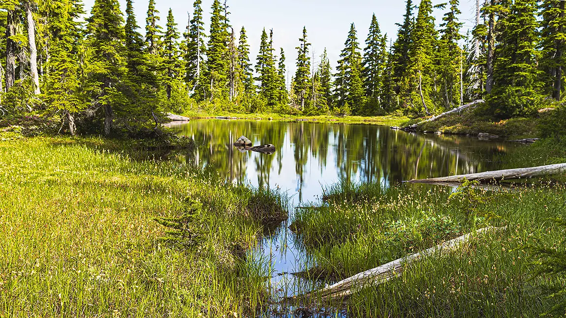Mountain Alpine Ponds, Mt Washington, Courtenay, BC, Canada
