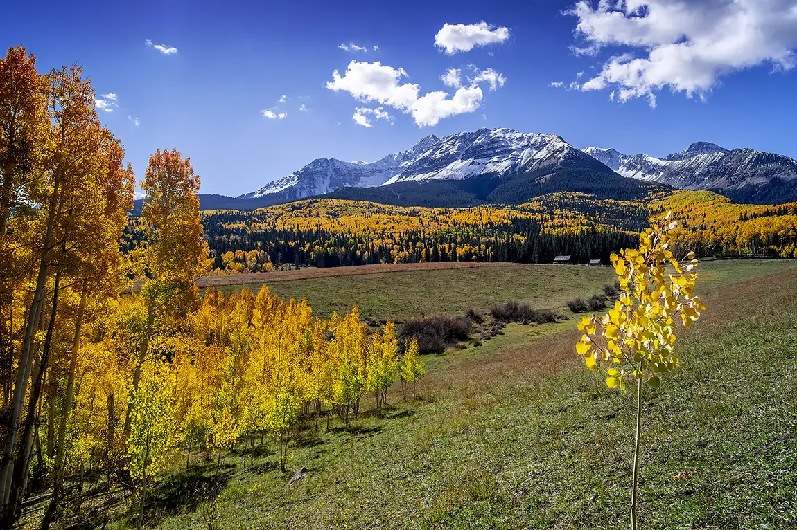 Mt Wilson In Autumn, Wilson Mesa, San Juan Mountains, Colorado, USA