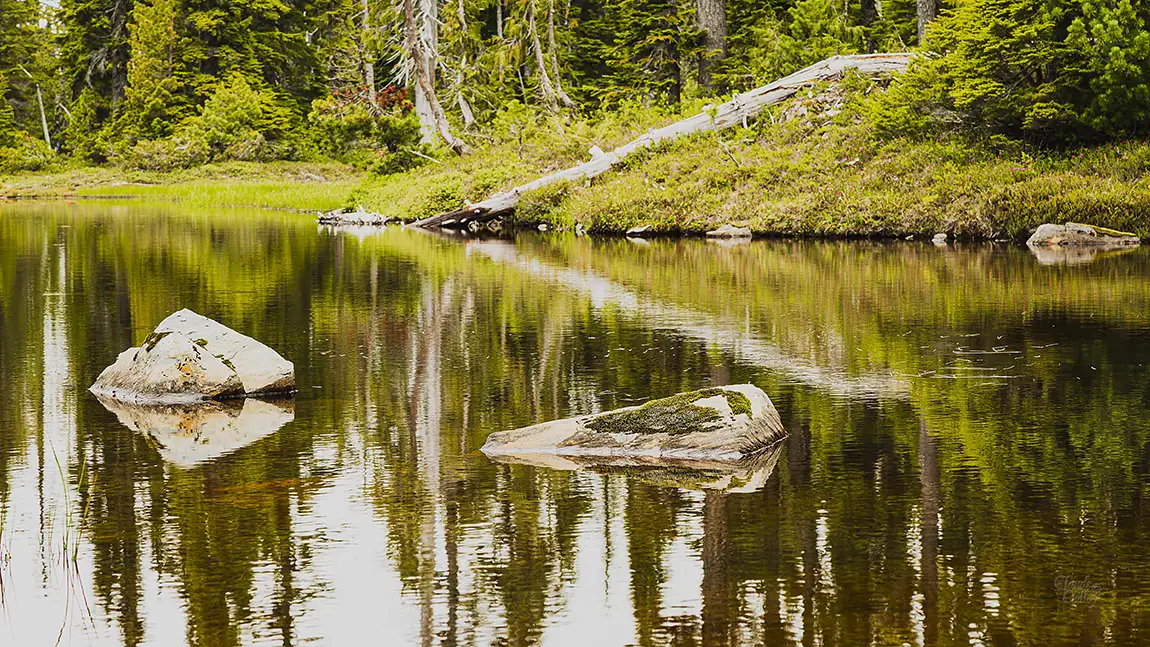 Rocks In A mountain Pond, Mt Washington, Courtenay, BC, Canada