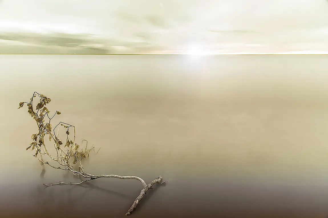 Suspended In Silence, Torre Del Lago, Lucca, Tuscany, Italy