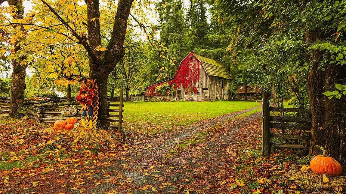 Tis The Season, Courtenay, Vancouver Island, British Columbia, Canada