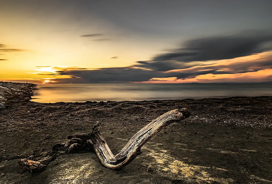 Traces of the Past, Scolmatore Di Livorno, Tuscany, Italy