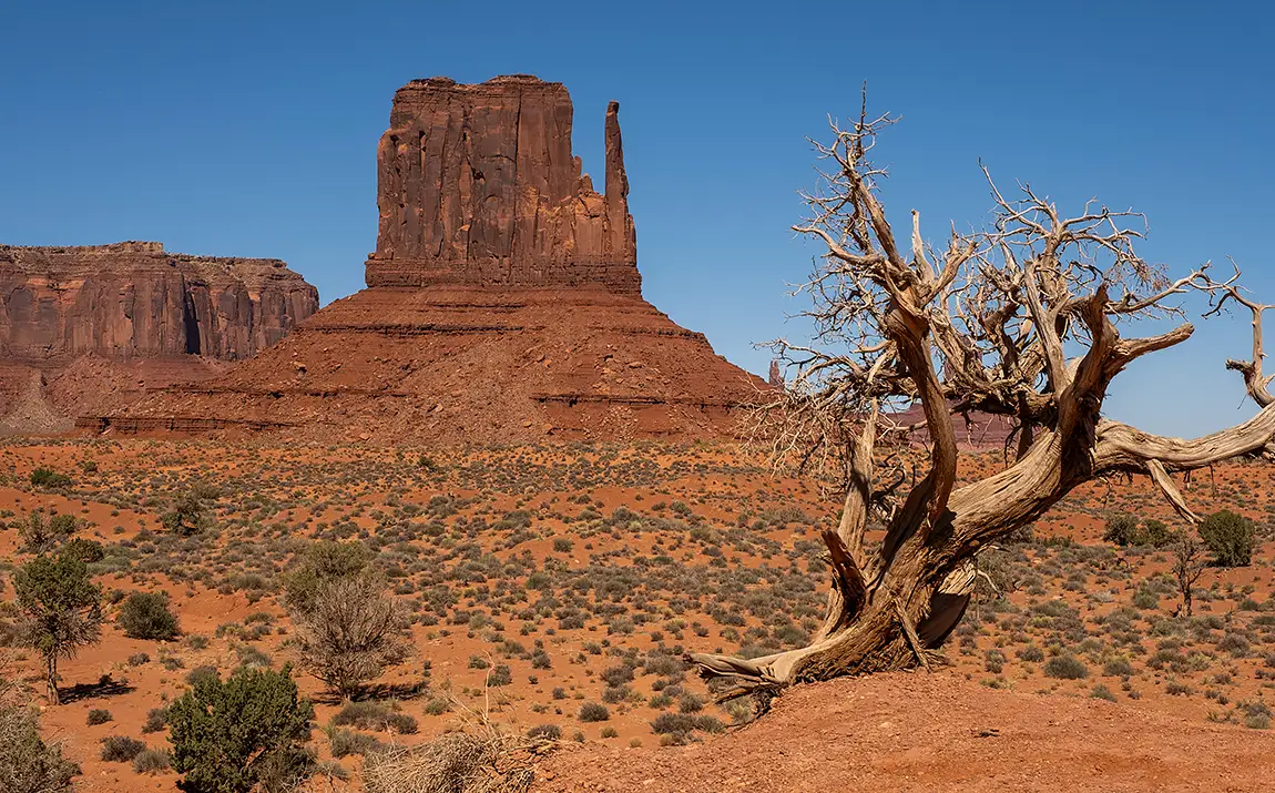 West mitten butte, monument valley navajo tribal park, arizona, usa
