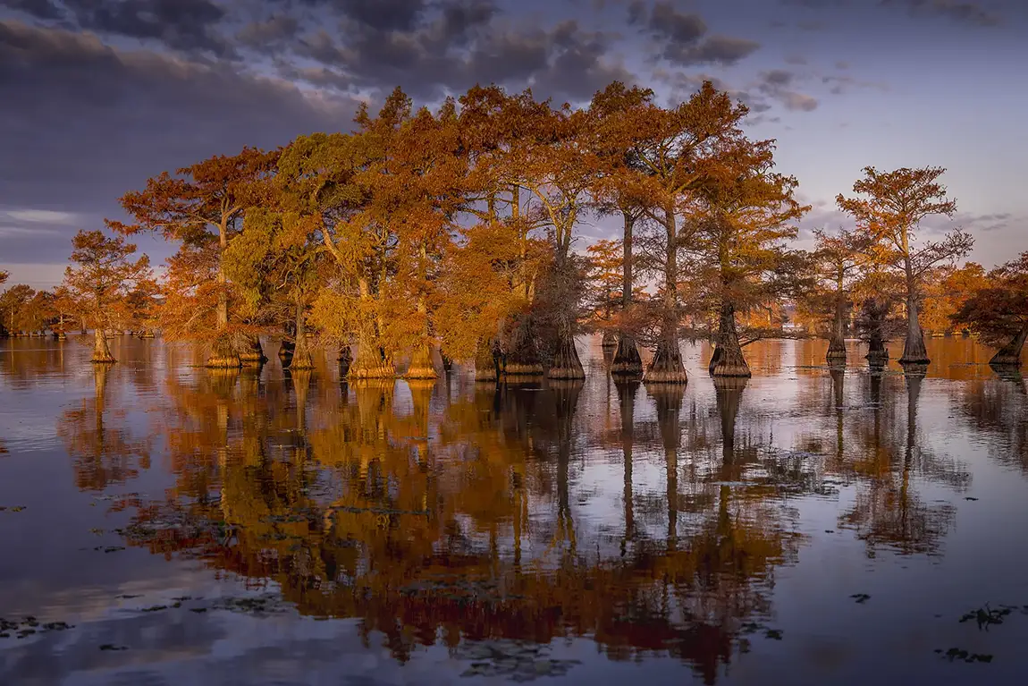 All Inclusive Caddo Lake Fall Photography Workshop, USA, November