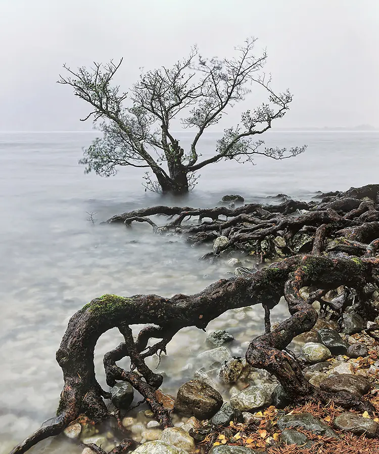 Back To My Roots, Loch Maree, Scotland