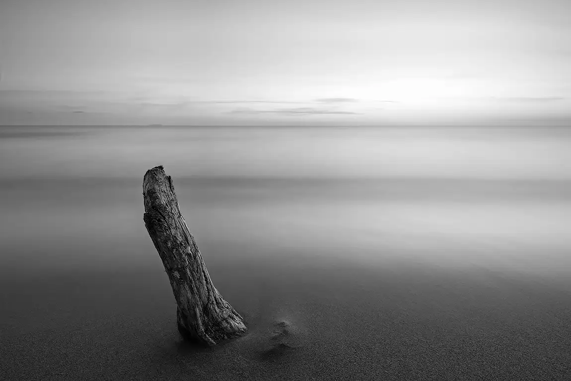 Coastal Landscape, Calambrone, Pisa, Italy
