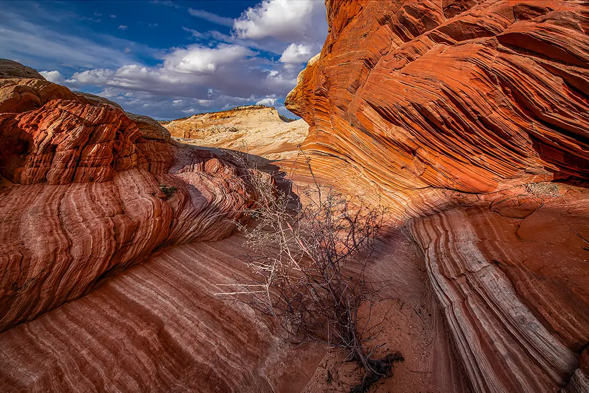 Desert Dance, Vermillion Cliffs National Monument, Kanab, Utah, USA