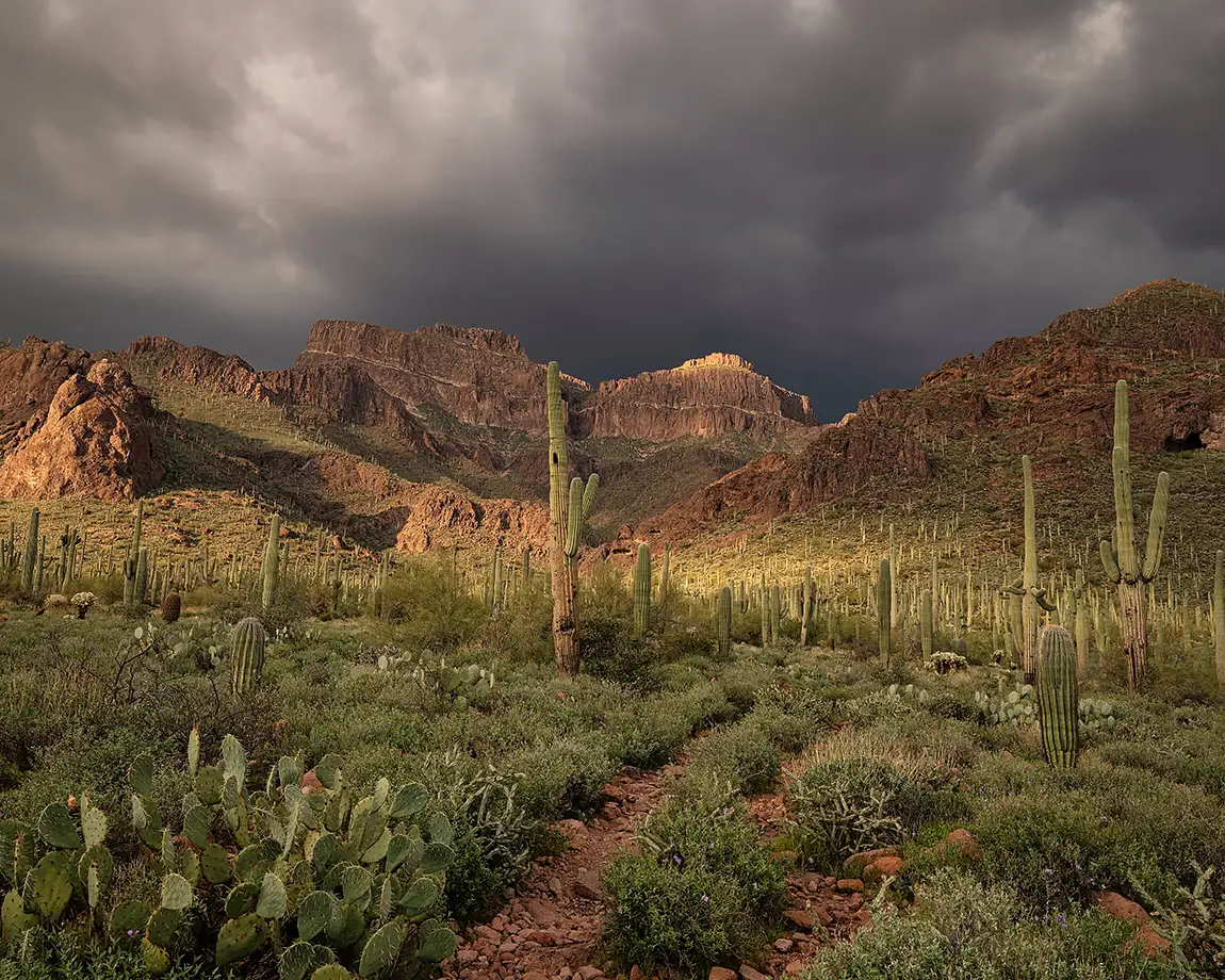 Desert Storm, Superstition Mountains, Gold Canyon, Maricopa County, Arizona, USA