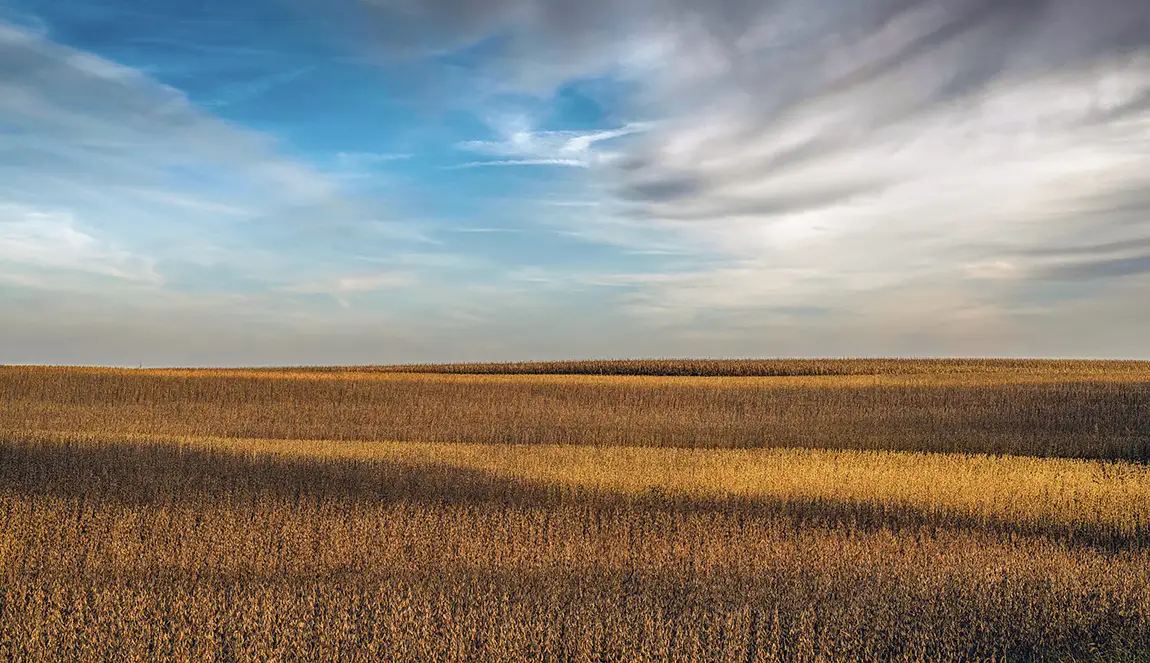Field And Sky, Galesburg, Illinois, USA