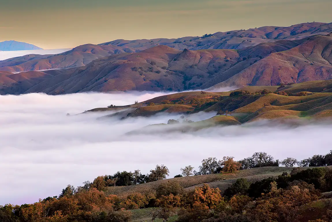 Foggy Fall Morning, San Jose, Santa Clara, California, USA