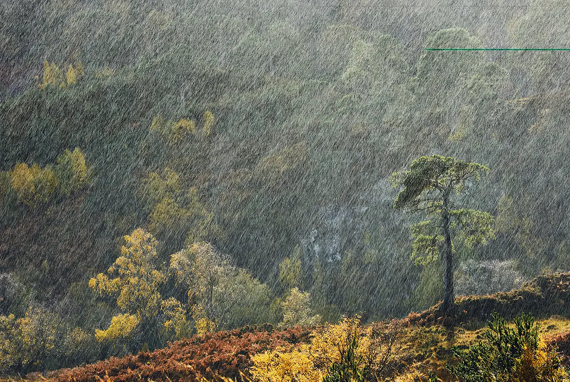 Raining Cats And Dogs, Glen Strathfarrar, Struy, Scotland