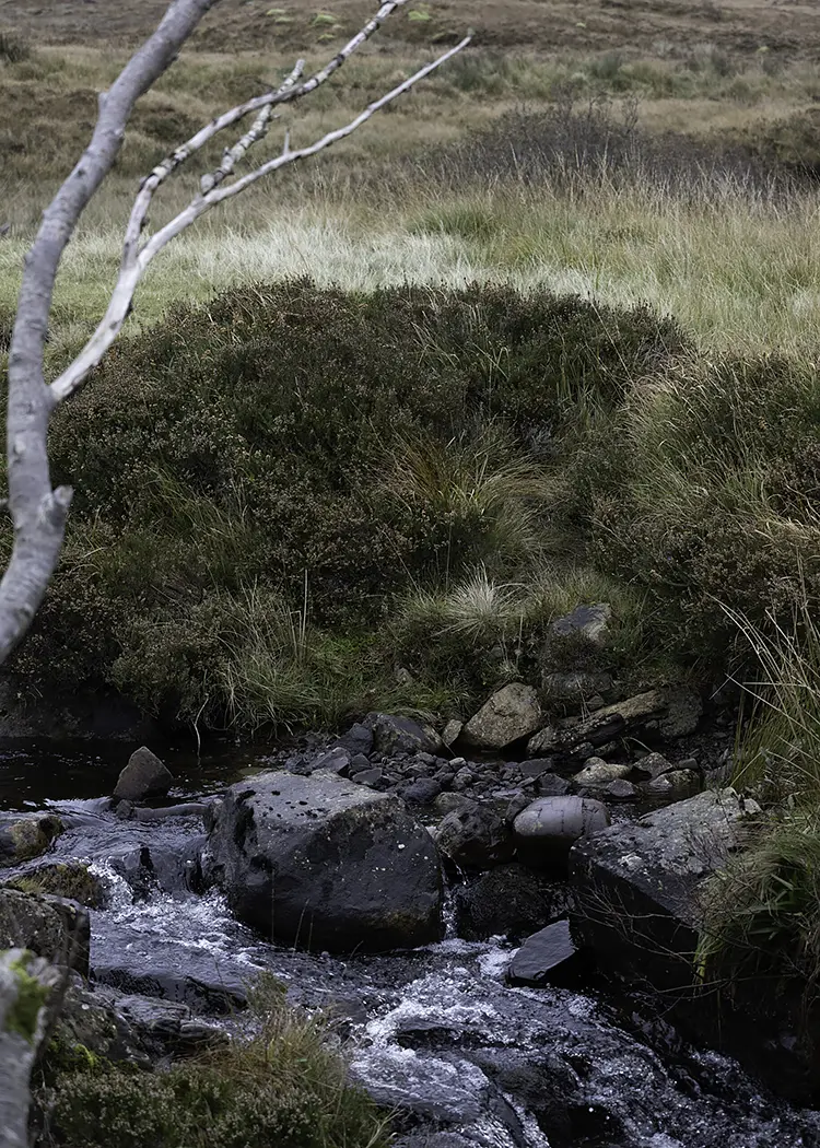 Scotlandtrip2025 16 scaled