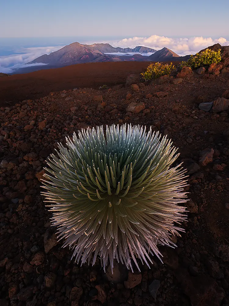 Silverworld At Haleakala Crater, Maui, Hawaii, USA