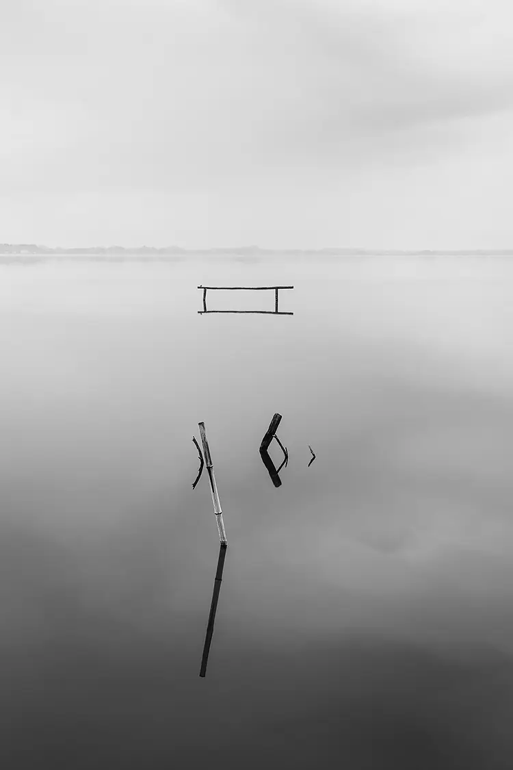 Stillness As Measure, Lake Massaciuccoli, Tuscany, Italy