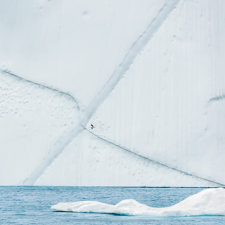 X Marks The Spot, Disko Bay, Greenland