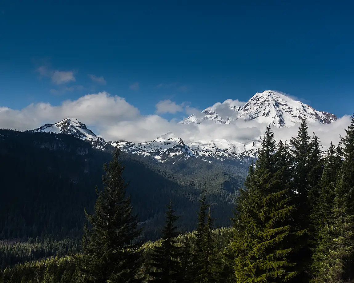 Bigger Than Rainier, Rampart Ridge Near Ashford, Washington, USA