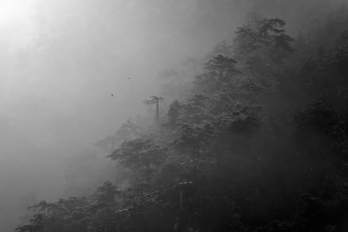 Breath Of Winter, Malborghetto Valbruna, Udine, Italy