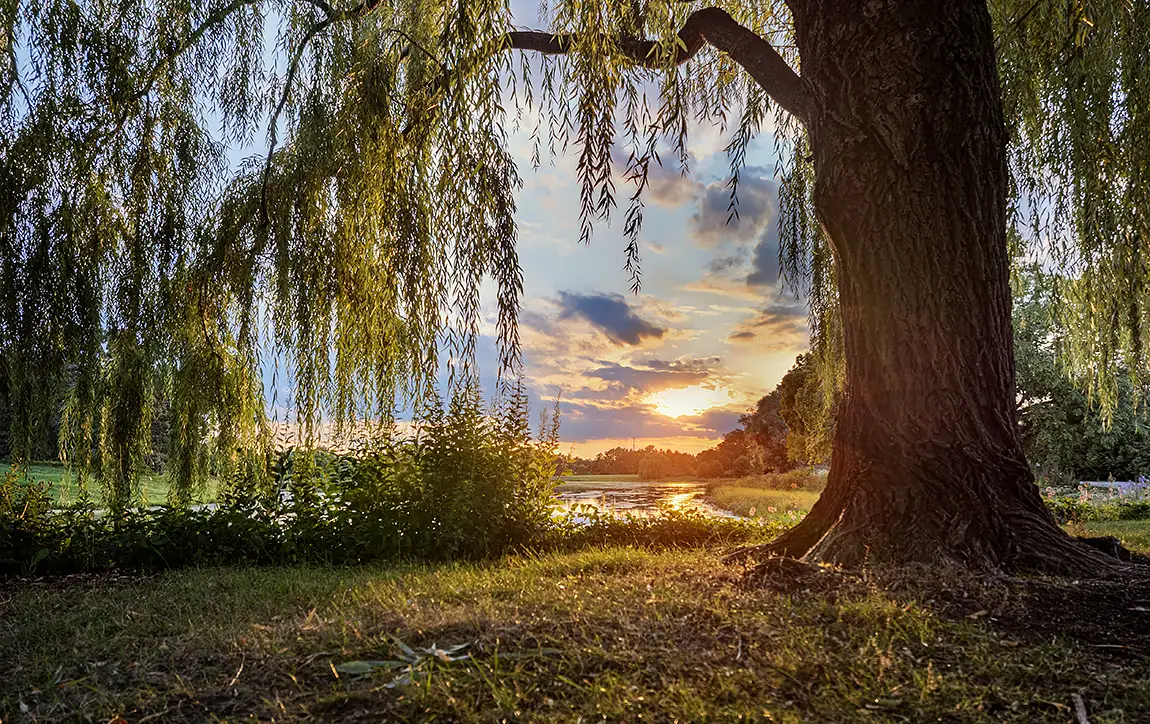 Chicago Botanic Garden Sunset, Glencoe, Illinois, USA