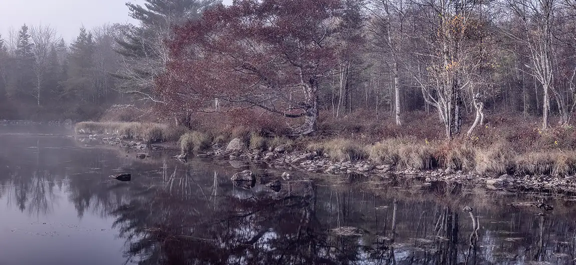 Dragons By The River, Quinan, Yarmouth County, Nova Scotia, Canada