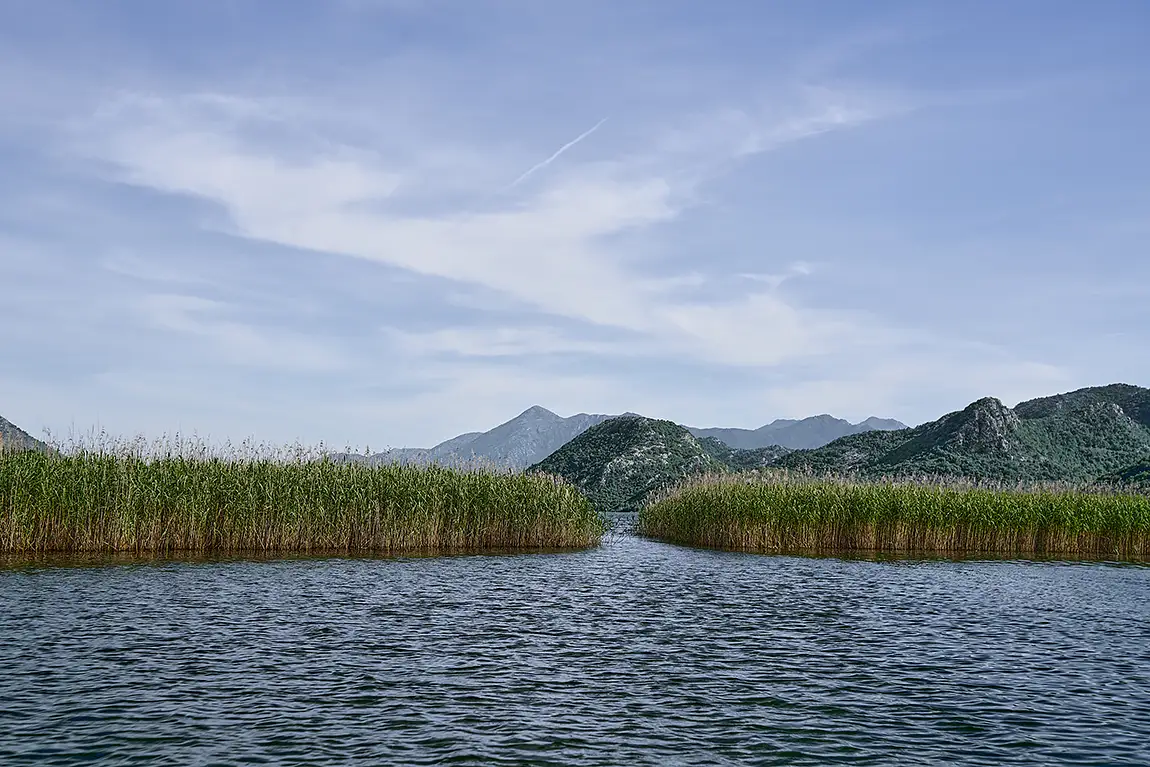 Lake Skadar Reeds, Montenegro