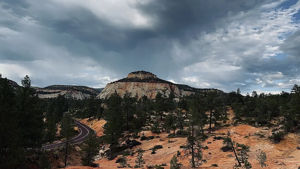 Winding Road, Zion National Park, Washington County, Utah, USA