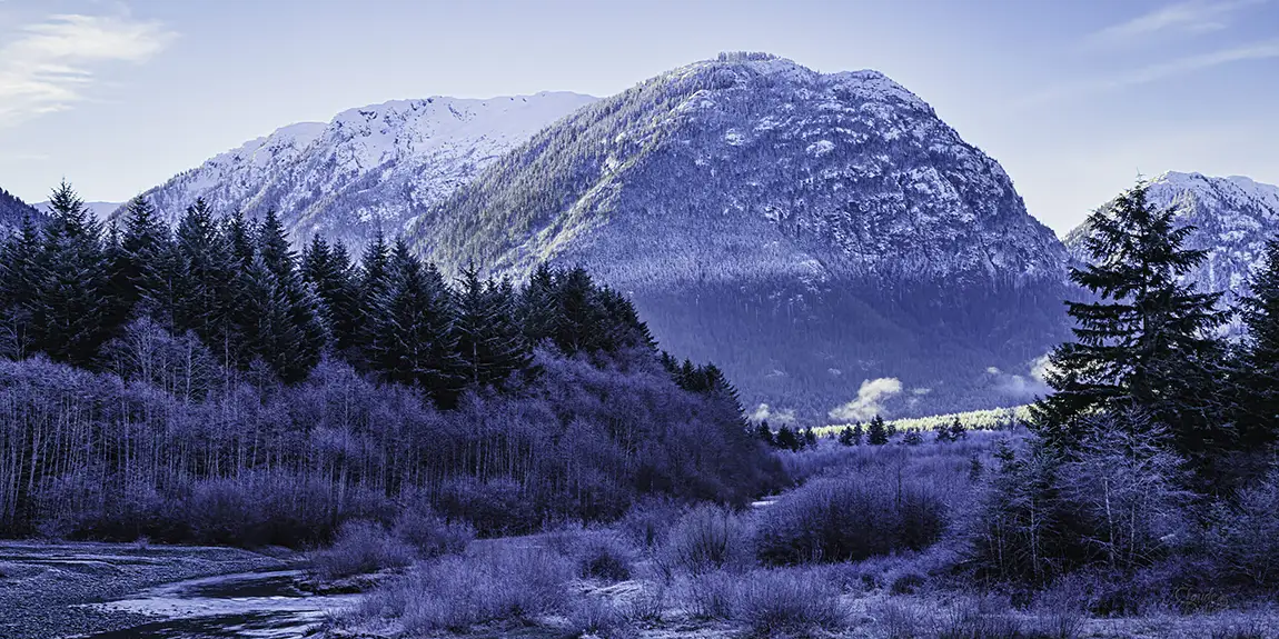 Winter Time, Vancouver Island, BC, Canada