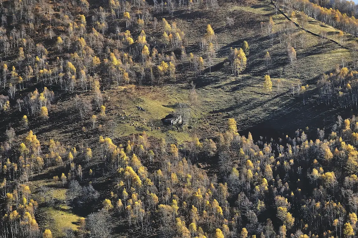 Autunno In Oasi Zegna, Italy