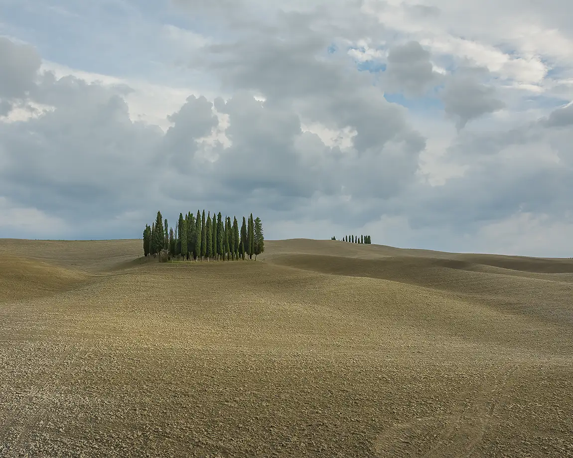 Cypress Trees, San Quirico d’Orcia, Tuscany, Italy