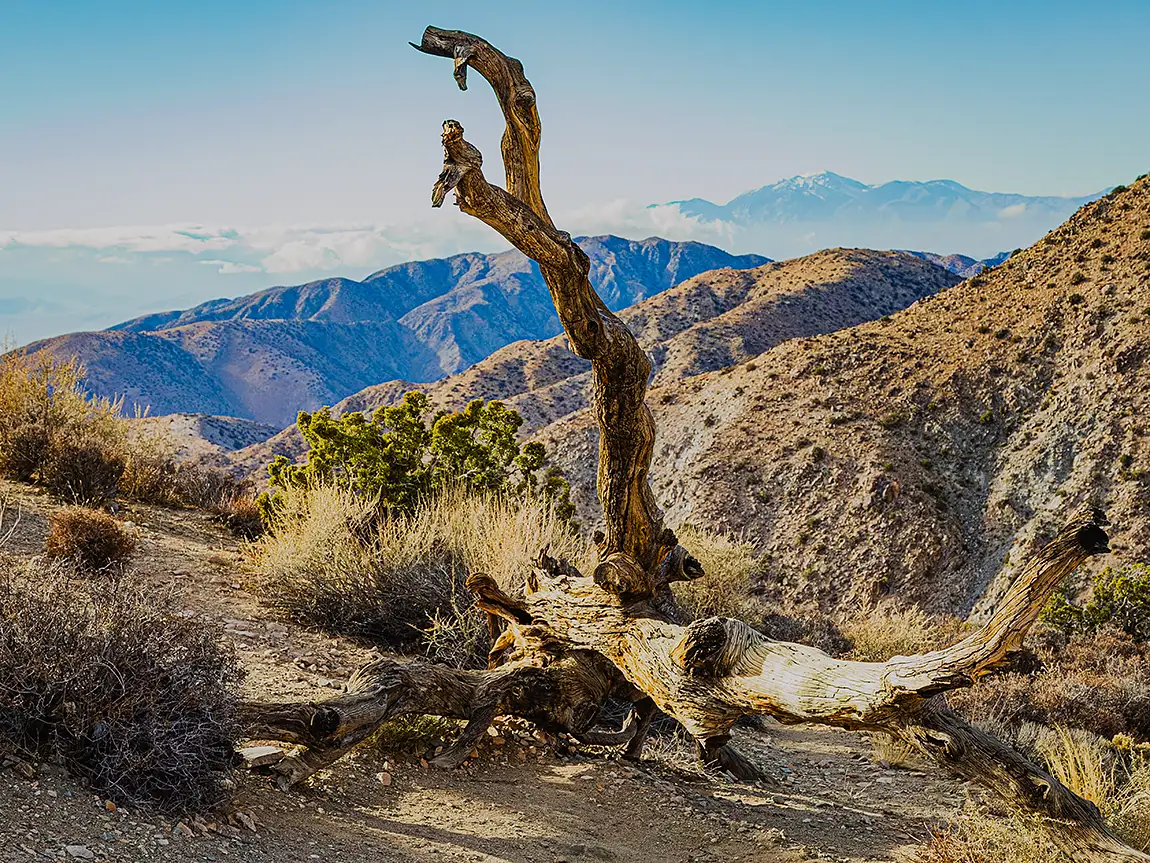 Desert Mountain Top, Joshua National Park, California, USA