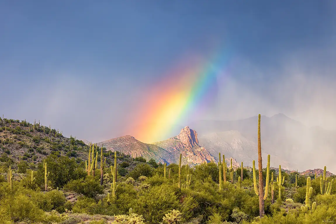 Desert Prism, Peralta Trail, Gold Canyon, Maricopa, Arizona, USA