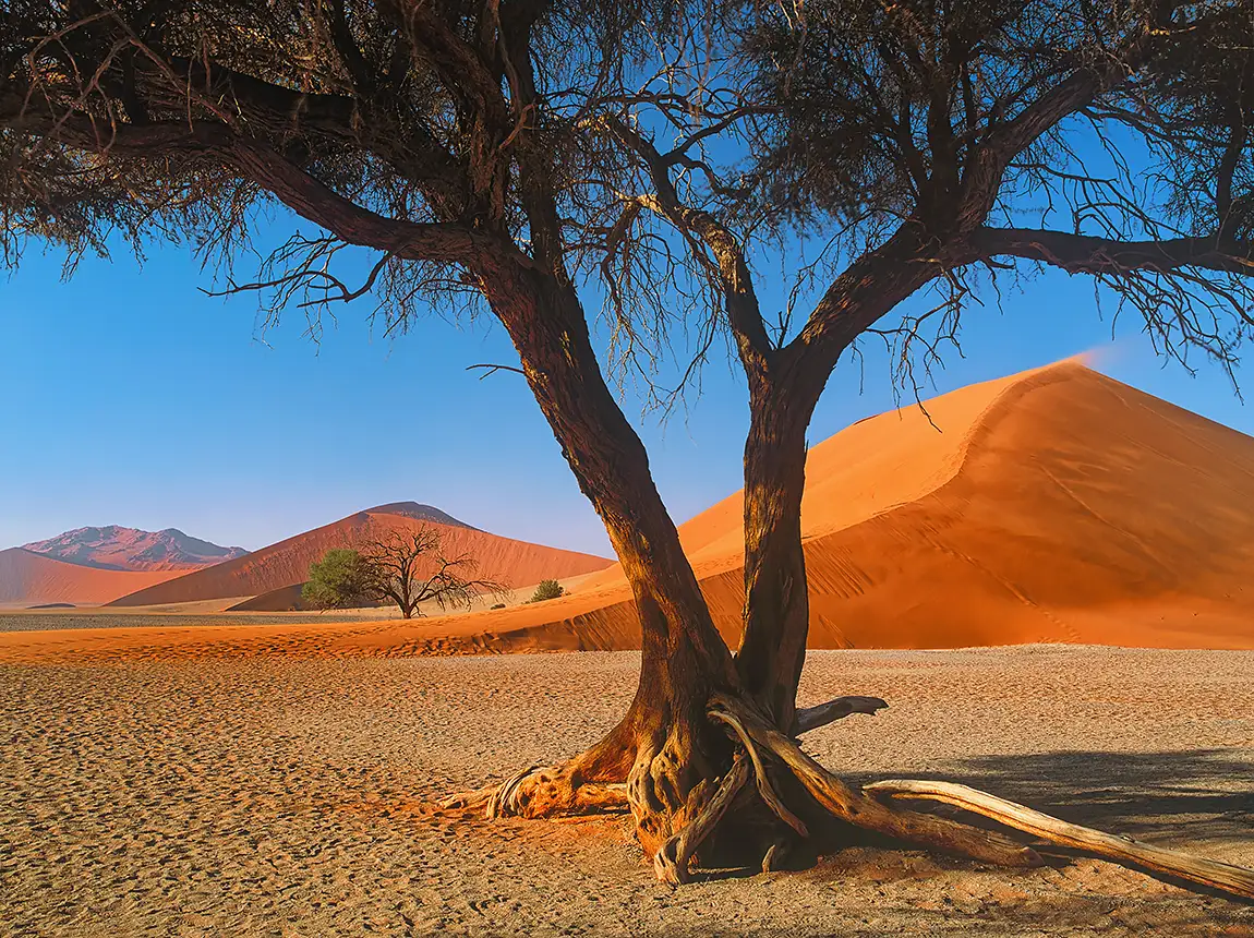 Desert Sun Shade, Dune 45, Namib Naukluft National Park, Namibia
