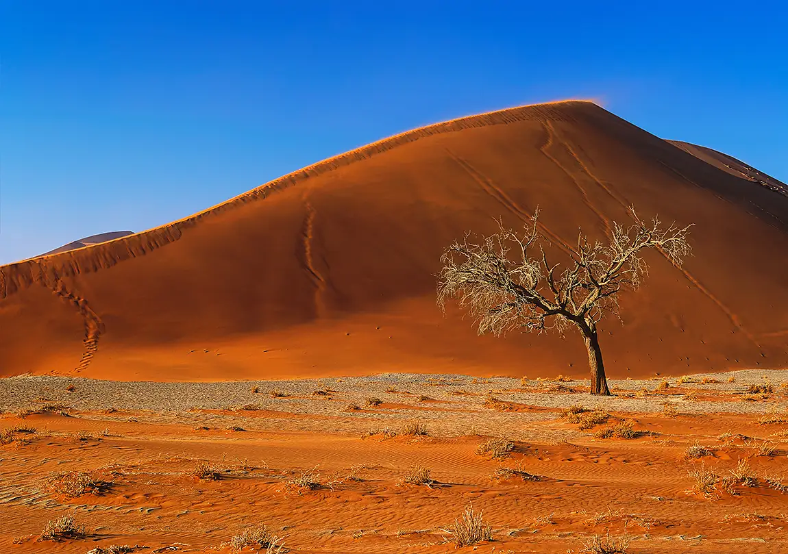 Dune 45, Sossusvlei, Namibia