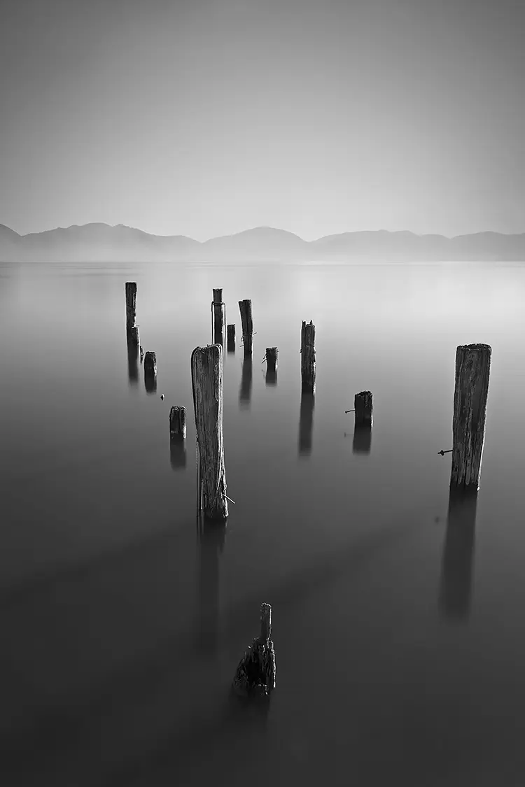 Geometry Of Silence, Lake Massaciuccoli, Massarosa, Italy