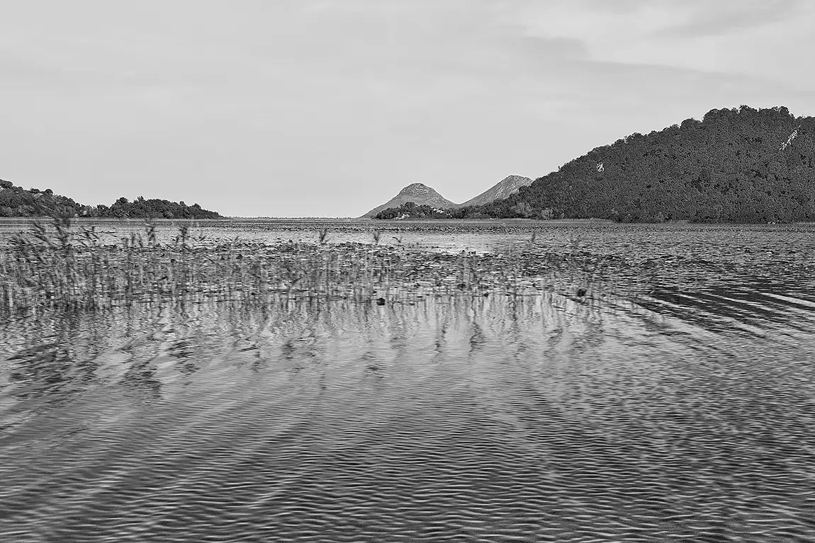 Lake Ripples Monochrome, Lake Skadar, Montenegro