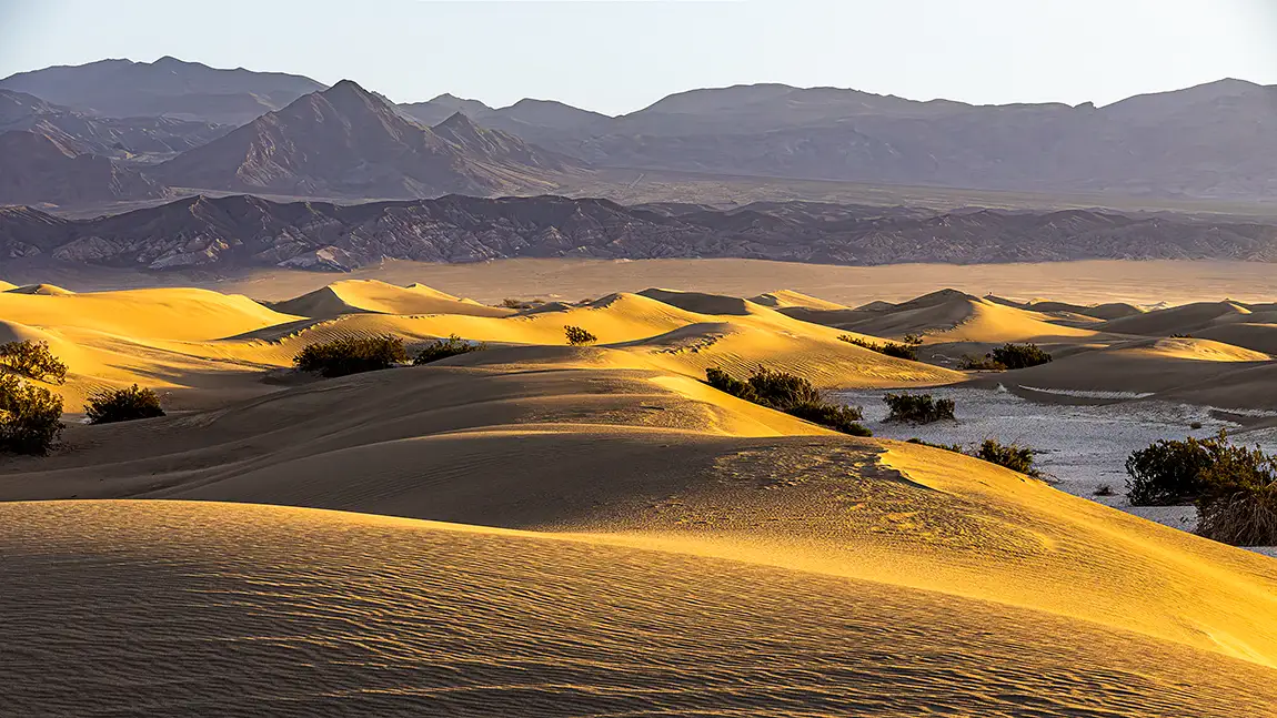 Mesquite Sand Dunes Sunrise, Death Valley National Park, California, USA