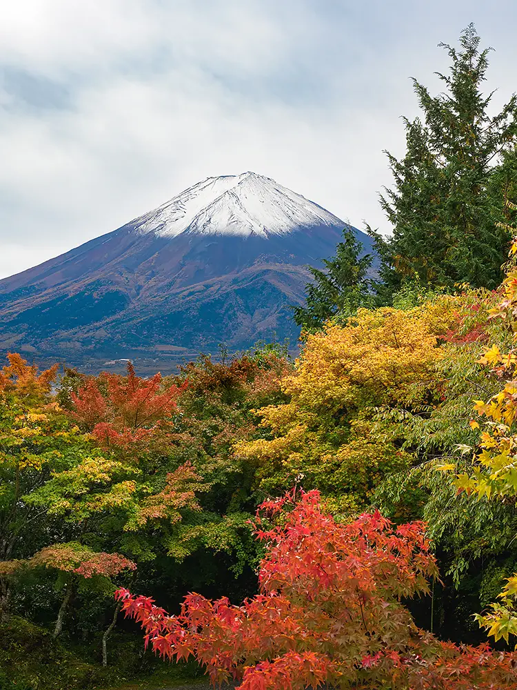 Mt Fuji, Lake Kawaguchi, Fujikawaguchiko, Japan