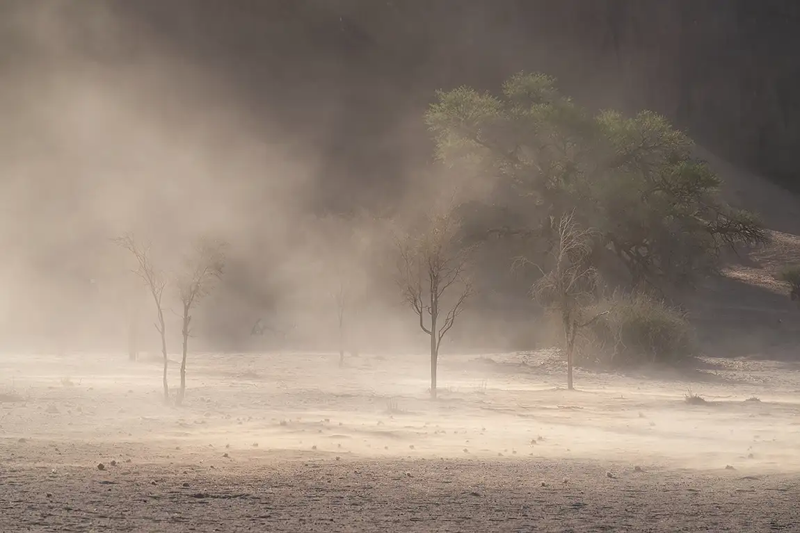 Namib Desert Dust, Hardap, Namibia
