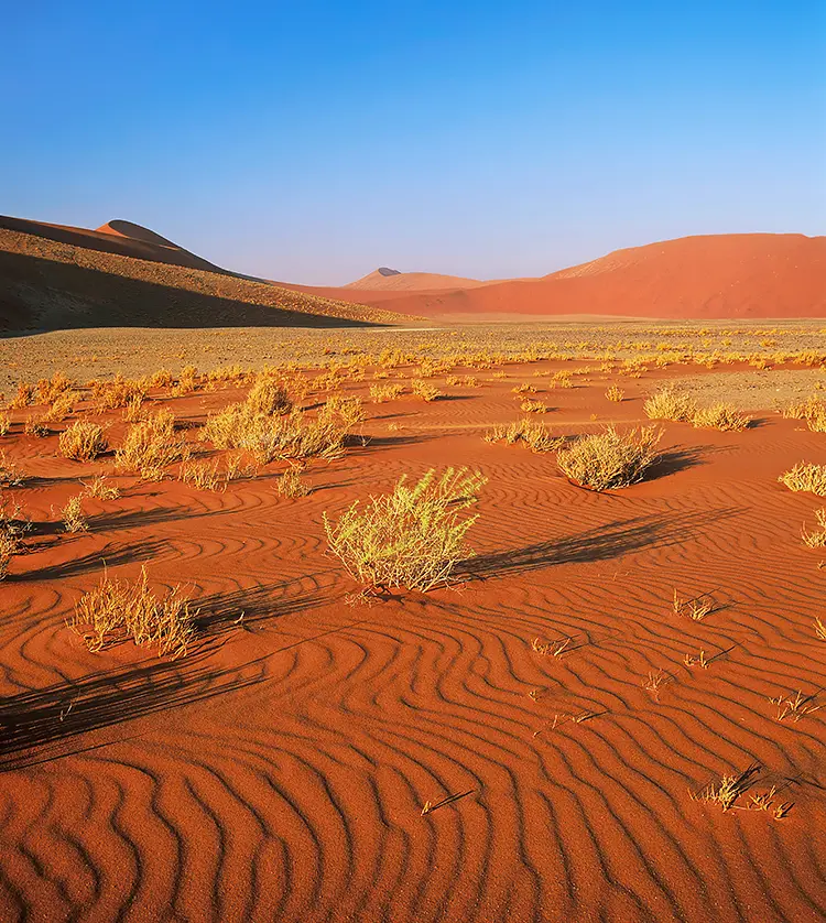 Ripples Of Windblown Sand, Sossusvlei, Namibia