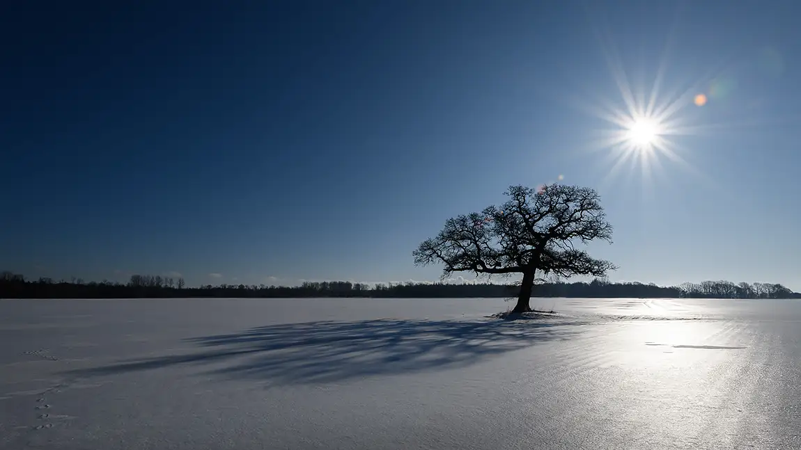 Snow Desert Between Seasons, Hadsund, Mariagerfjord, Denmark