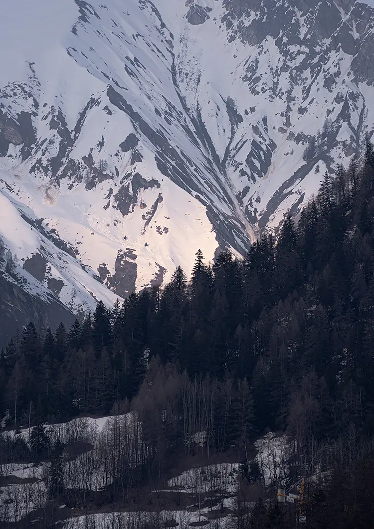 Ascendent Trees, Courmayeur, Italy