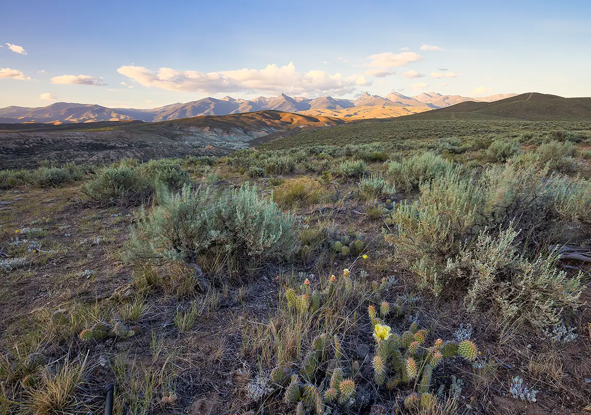 Desert Foothills, Beaverhead Mountains, Salmon, Idaho, USA