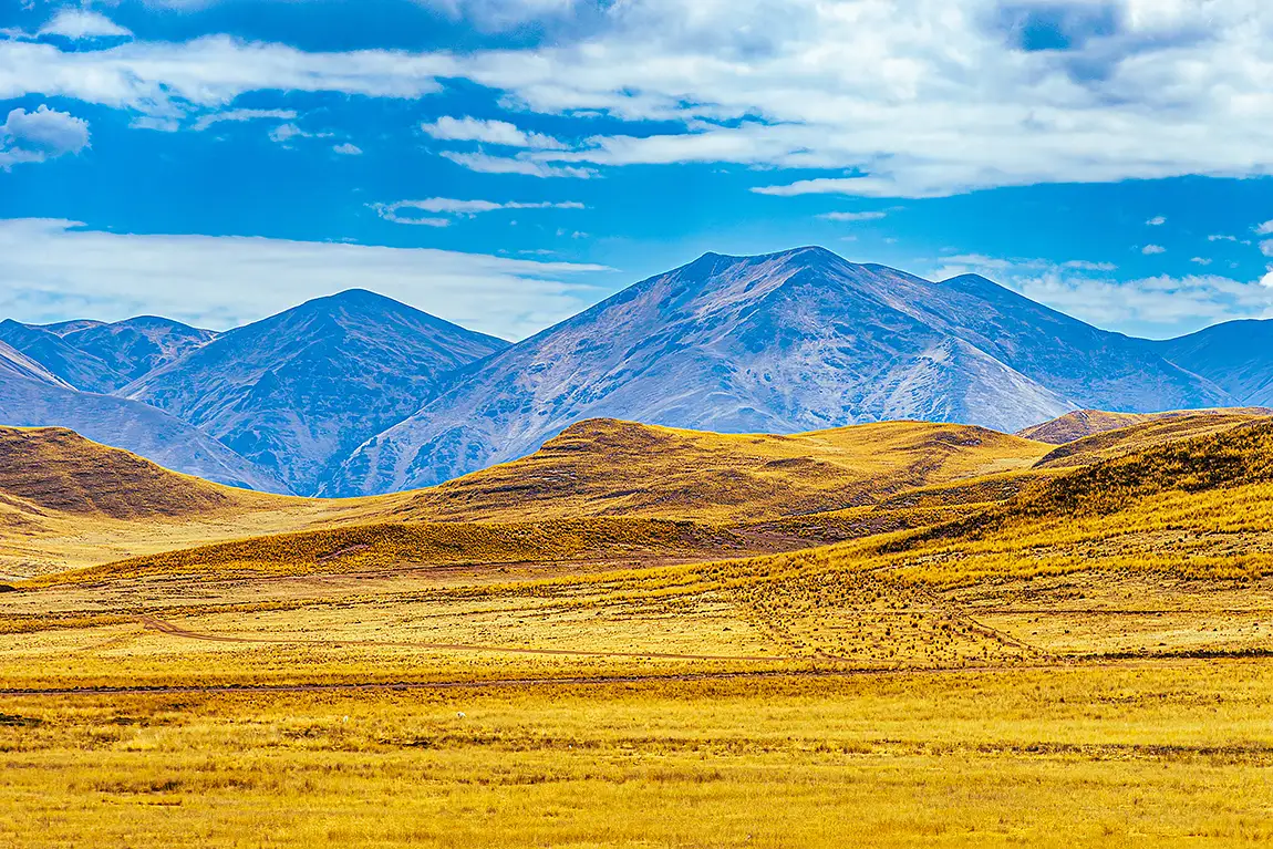 Desert Layers, Nicasio, Peru