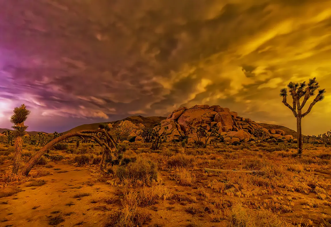 Fire In The Sky, Joshua Tree National Park, San Bernardino County, USA