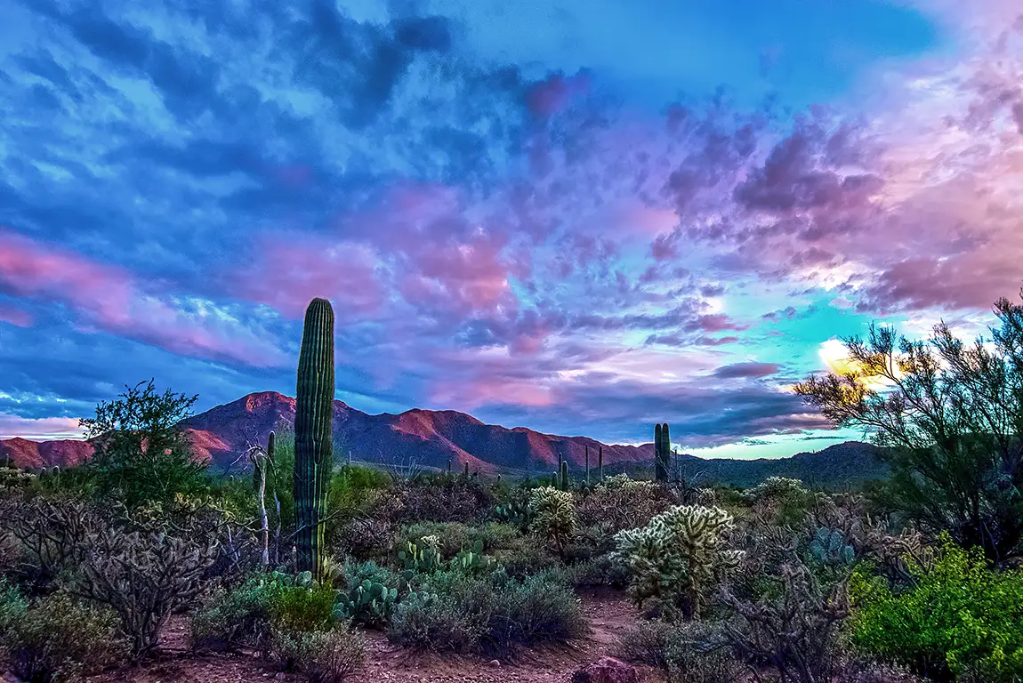 Picture Rocks National Park, Arizona, USA