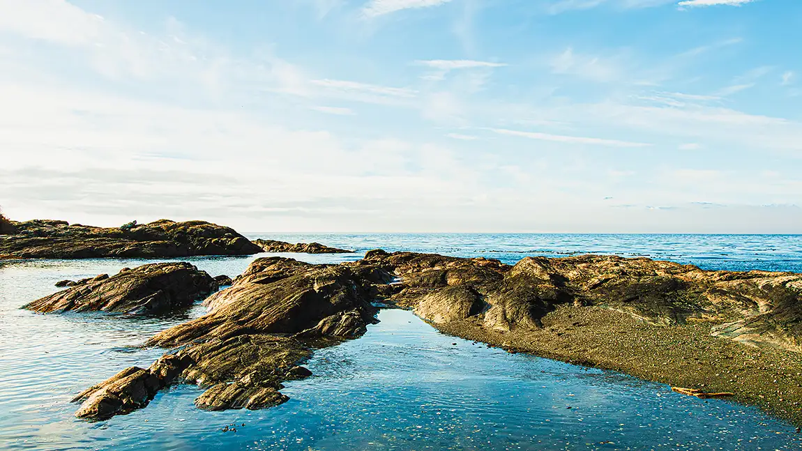 Ross Bay Beach, Victoria, British Columbia, Canada